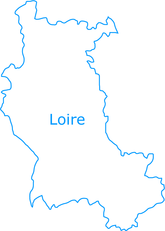 Carte vierge de la Loire